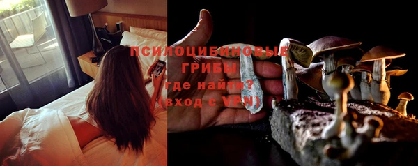 тгк Горнозаводск