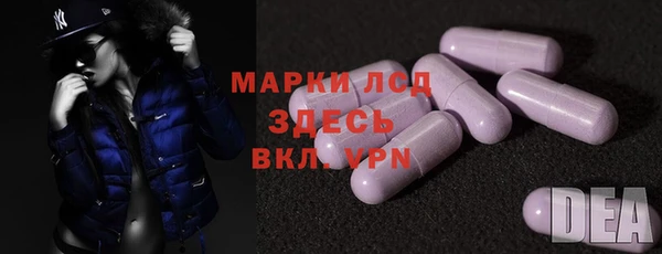 PSILOCYBIN Горно-Алтайск