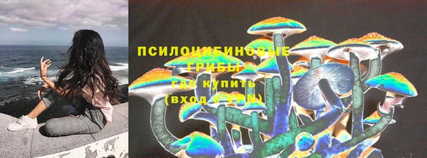 тгк Горнозаводск