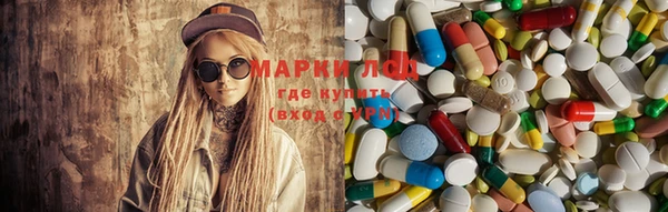 PSILOCYBIN Горно-Алтайск