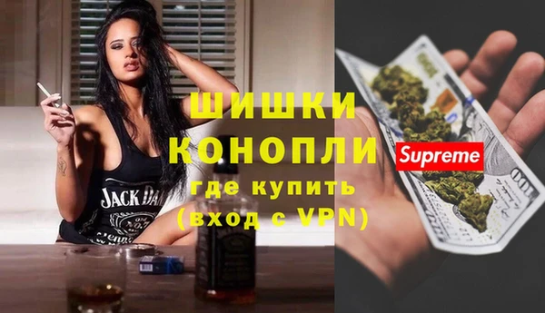 PSILOCYBIN Горно-Алтайск