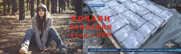 PSILOCYBIN Горно-Алтайск